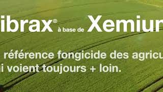 Fongicide blés et orges Librax® à base de Xemium® [upl. by Etteinotna]