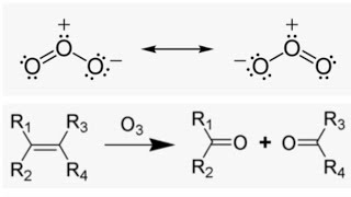 Ozonolysis Reaction Mechanism organic chemistry [upl. by Crespo352]