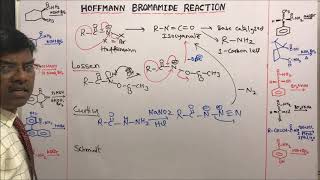 Differences of Hoffmann vs Lossen Curtius Schmidt Rearrangement Reactions Mechanism Isocyanate [upl. by Scarrow500]