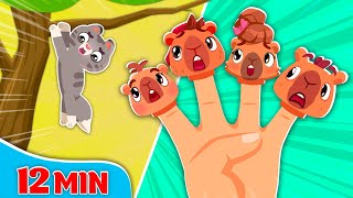 Finger Family  Rain Rain Go Away  More Kids Songs amp Nursery Rhymes [upl. by Etteloiv]