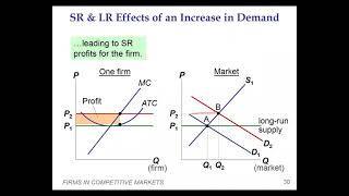 Part 2  Firms in competitive Markets  Chapter 14 part 2 in UrduHindi  The Economics [upl. by Nirred]