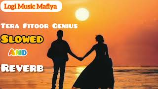 Tera Fitoor  Hindi Bollywood  Romantic Song 2024 Genius  Slowed And Reverb  Song [upl. by Lot]