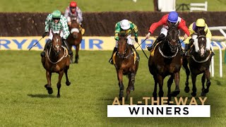 9 ASTONISHING ALLTHEWAY WINNERS AT THE CHELTENHAM FESTIVAL [upl. by Roice]