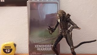 NECA Aliens Xenomorph Warrior 2013 S PIDERs monster review [upl. by Airetnuhs]