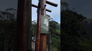 Eravikulam National Park Full Tour  Nilgiri Tahr  Neelakurinji flower  మున్నార్  పూర్తి వివరాలు [upl. by Ilene]