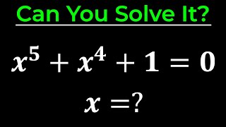 How To Solve A Quintic Equation  Algebra  Math Olympiad [upl. by Camey]