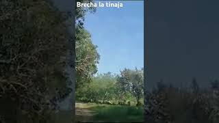 Brecha la Tinaja [upl. by Nrobyalc383]