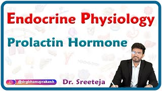 Prolactin Hormone  Endocrine Physiology USMLE Step 1 [upl. by Naihr]