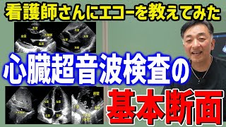 【看護師さんと学ぶエコー】心臓超音波検査で重要な5つの断面！”FoCUSプロトコール” [upl. by Ecinna]