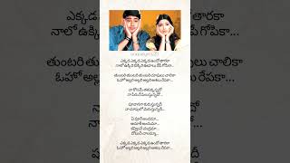 ✨🥰 Murari movie song  Ekkada ekkada song lyrics  unique25 youtubeshorts [upl. by Anselm58]