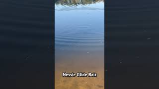 Nessie Glide Bait fishing [upl. by Dareen]