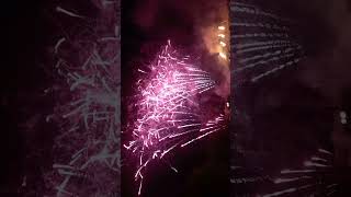 lichterfest westfalenpark Dortmund abschlussfeuerwerk 2024 [upl. by Sumedocin]