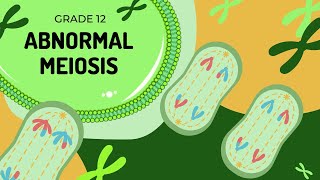 Abnormal Meiosis  Nondisjunction and the formation of Down syndrome [upl. by Adria]