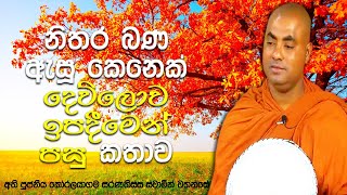 මරණින් මතු දෙව්ලොව ඉපදුනාම මිතුරු දෙවිවරු නිවනට උපකාර කරන ආකාරය  Koralayagama Saranathissa Thero [upl. by Adnarrim989]