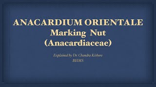 Anacardium Orientale  Allen’s Keynotes  Well Explained [upl. by Yhtir323]