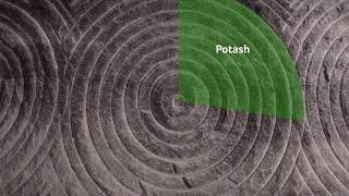 Nutrien What Is Potash [upl. by Bleier544]