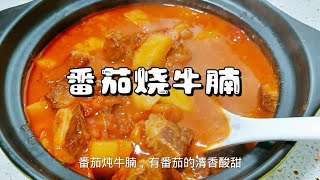 番茄炖牛腩的家常做法，牛肉软烂入味，汤汁浓稠鲜香 [upl. by Ibbor]