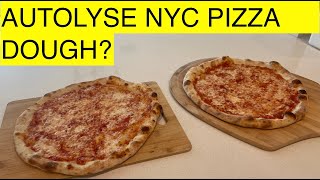 Should I Autolyse NYC Pizza Dough [upl. by Aitnecserc]