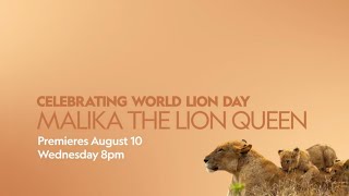 Malika The Lion Queen  WorldLionDay  NatGeoWild  RealisHere [upl. by Jena209]