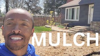 I Killed My Lawn and Planted a Native Garden  Part 1  Mulch [upl. by Arjun]