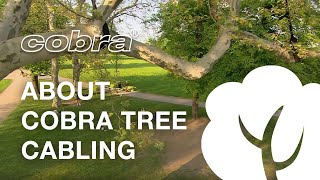 About cobra® Tree Cabling English [upl. by Hussey]