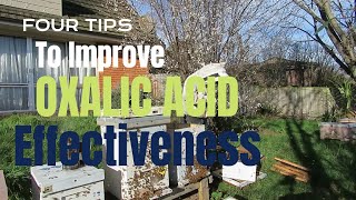 Ep 83 Improving Oxalic Acid Varroa Mite treatments [upl. by Can]