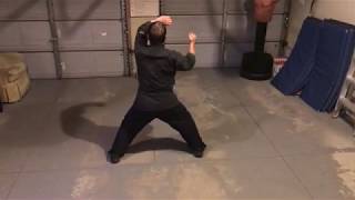 Jamie Seabrook  Kenpo Long Form 4 [upl. by Ewan]