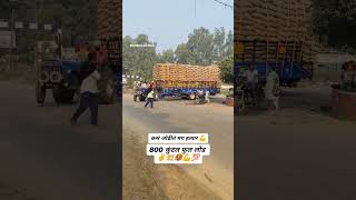 कसं वडी तर मग हत्यार 800 क्विंटल फुल लोड tractorlover shetakari royalशेतकरी [upl. by Yeniar]