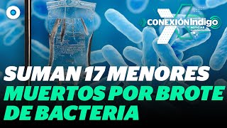 El Gobierno amplía a 17 la cifra de niños fallecidos por ‘Klebsiella oxytoca’  Reporte Indigo [upl. by Brook]