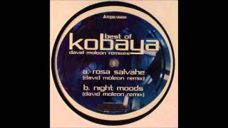 KOBAYA ROSA SALVAHE DAVID MOLEON REMIX [upl. by Novi]