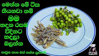 තිබ්බටු හාල්මැස්සෝ ටිකක් තියනවා නම් හදන්න ක්‍රමයක්  thibbatu halmasso curry  halmasso baduma [upl. by Hareenum841]