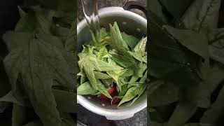 Gongura pappu foodindiancurry youtubeshort [upl. by Nalon]