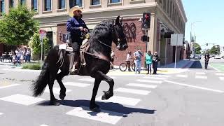 Rodeo Parade Salinas Old Town 2023 [upl. by Minne]