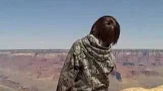 Kid Falls off Rim of Grand Canyon Part II [upl. by Nell987]