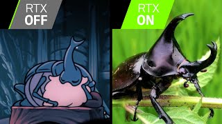 The Real Life Bugs of Hollow Knight [upl. by Godiva]