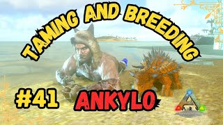 Taming And Breeding Ankylosaurus ARK MOBILE SEASON 2 PART 41 [upl. by Auhsej]