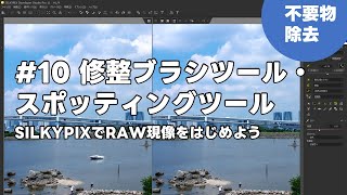 SILKYPIXでRAW現像をはじめよう 10 修整ブラシツール・スポッティングツール [upl. by Siul775]