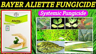 Aliette fungicideBayer fosetylaluminium80WPaliette fungicide price dose work resultCGKISANTV [upl. by Crocker]