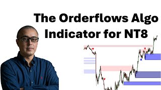 The Orderflows Algo Analyze Supply And Demand With Order Flow [upl. by Htaek766]