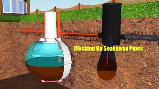 Septic Tank Soakaway Worms [upl. by Larissa487]