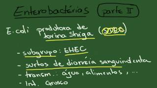 Enterobacterias 2 Escherichia coli  Resumo  Microbiologia [upl. by Noseaj]