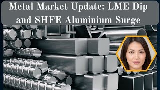 Metal Market Update LME Dip and SHFE Aluminium Surge [upl. by Dennie]