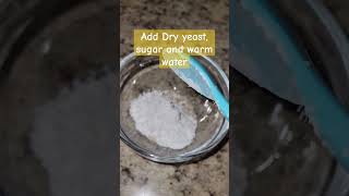 how to activate dry yeast [upl. by Anirbys]