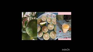 CITRUS SINENSIS USES  NARINJA PANDU USES  DIABETES  CONSTEPATION  YUMMY FRUIT   SKINTONE [upl. by Pearse98]