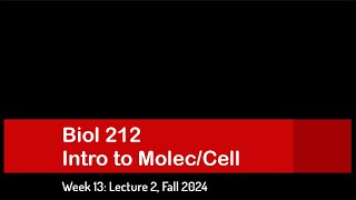 CSULB Biol 212 Fall 2024  Week 13 Lecture 2 [upl. by Dill]