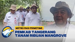 Pemerintah Kabupaten Tangerang Tanam Ribuan Mangrove Metro Pagi Primetime [upl. by Saw]