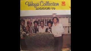 NIGERIA 79  WAZA COLLECTION [upl. by Britta]