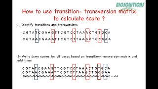 Learn TRANSITIONTRANSVERSION  Calculate score using TRANSITIONTRANSVERSION MATRIX example2023 [upl. by Normandy]