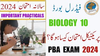 Biology 10 Practicals Exam Paper PBA 2024 Federal Board [upl. by Danya]