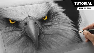 How to Draw Realistic Eagle  Tutorial for BEGINNERS [upl. by Nothgierc]